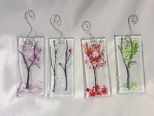 Load and play video in Gallery viewer, Four Seasons
